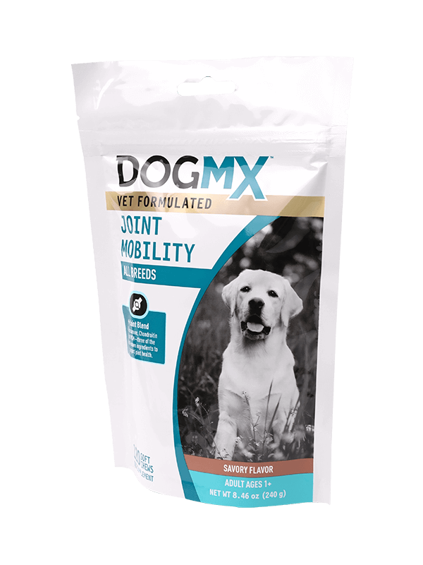 کیسه پلاستیکی قابل آب بندی خوب با کیسه چاپ مشتری